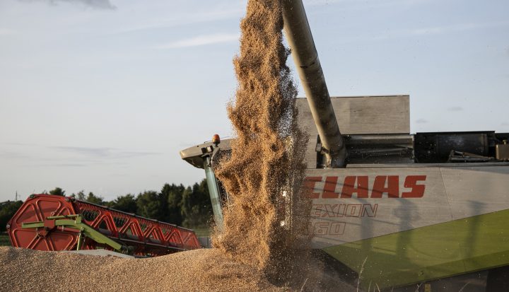 Høje priser trækker overskuddet for korn op i 2021