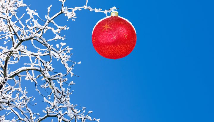 Julevagt 2022