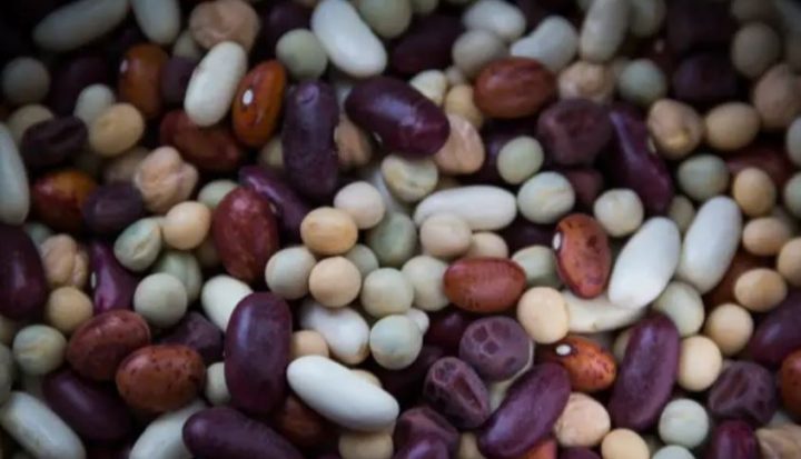 Bioordning planteproduktion